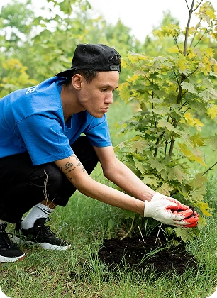 Gardeners planting tree