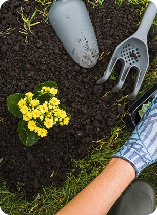 Gardeners planting flowers